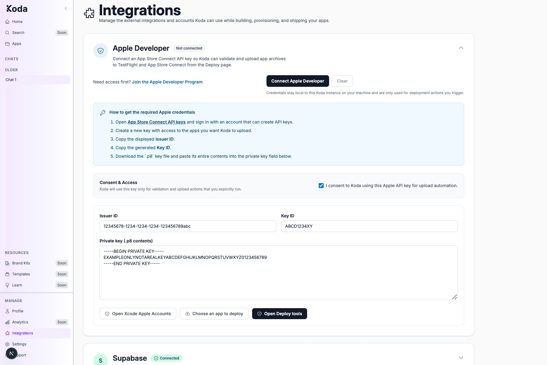 Expanded Apple Developer integration with Consent & Access, Issuer ID, Key ID, and private key fields.